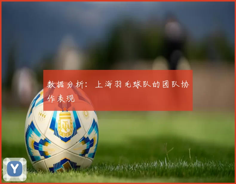 数据分析：上海羽毛球队的团队协作表现