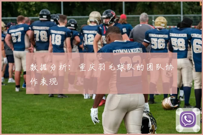 数据分析：重庆羽毛球队的团队协作表现