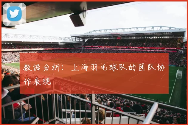 数据分析：上海羽毛球队的团队协作表现